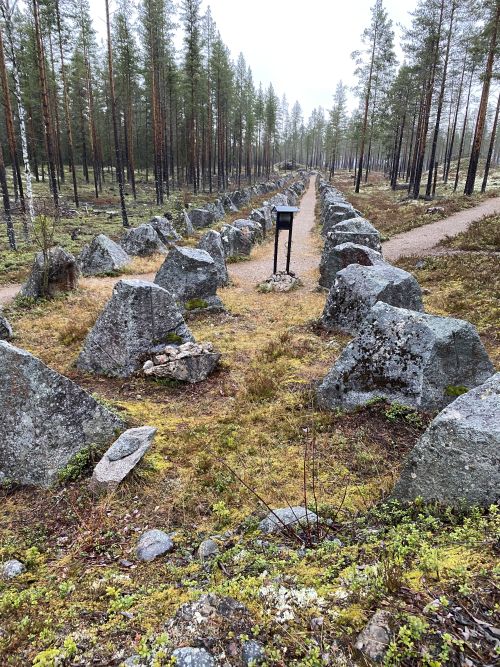 3 parallel rows of boulders in a forest