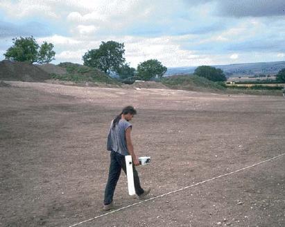 Person carrying out site survey