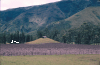 Photo 19: Hacienda Zuleta lands: tola with traditional-style indigenous structure on summit