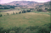 Photo 22: Tolas at Hacienda Zuleta, El Rosario, looking down SW from Loma Arrayan