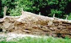 Wattle and daub wall