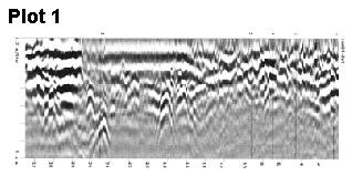 Grayscale plot of results