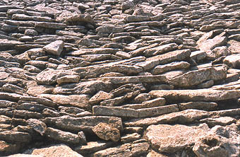 Ramp of cattle pond - detail.