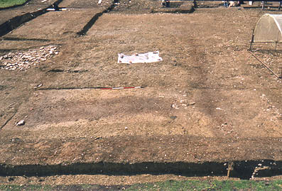 Area 2, looking S, showing turf stack in bank.