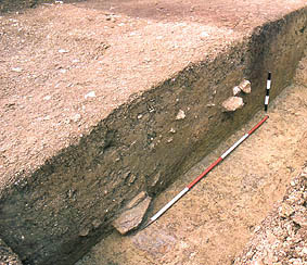 Front of bank, and destruction deposits of the wall.