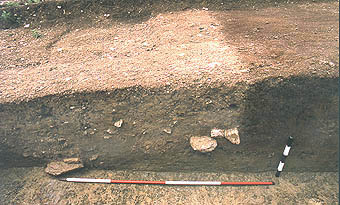 Front of bank, and destruction deposits of the wall.