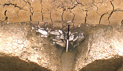 Inner ditch, area 3, with filling of stones removed.