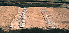 Area 3, the stone wall and berm excavated.