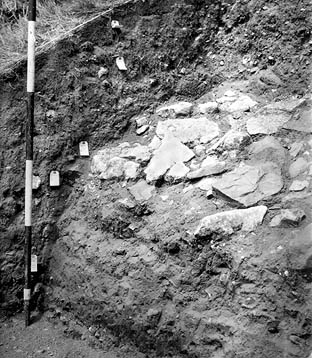 Wareham excavations 1952-4. Spill of stones from destroyed wall.