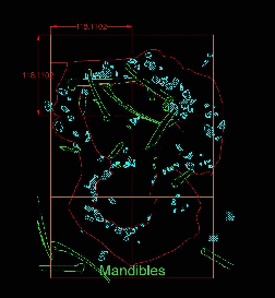 Animated GIF of an AutoCAD plan of House 8