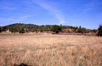 View of the south-eastern side of Ammaia from the lower (palaeo-)valley located here.