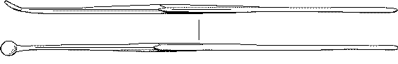 [Three categories of ligulae analysed in this paper]