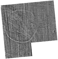 Fluxgate gradiometer survey of the Hengiform structure.