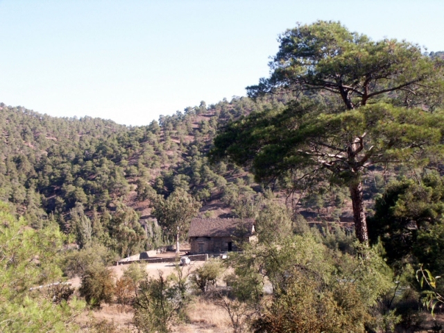 Figure 34: Asinou: church of Panayia Phorviotissa (TP030) from the monastery ruins to the south. Photograph: Michael Given. 