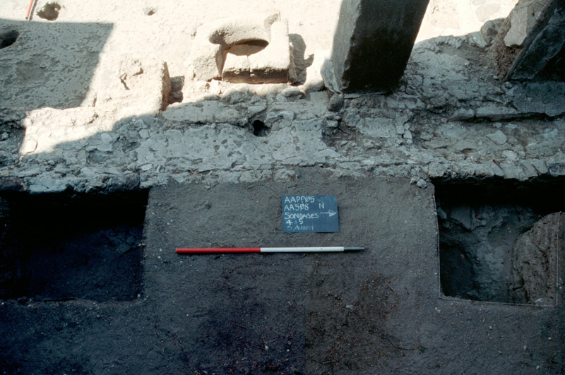 View of drain on west side of garden showing drainage hole into cistern and broken cistern head