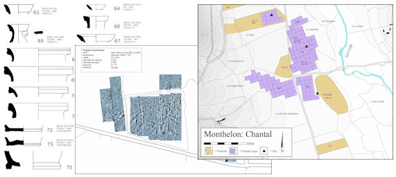 Composite image of the survey