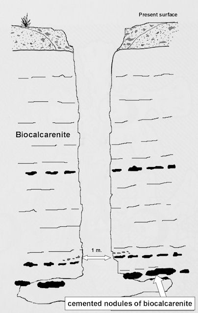 Figure 5a