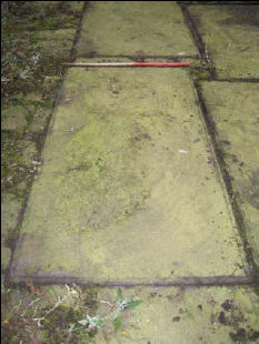 Gravestone 31