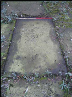 Gravestone 8