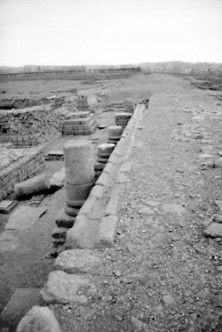 The main street at Roman Corbridge.