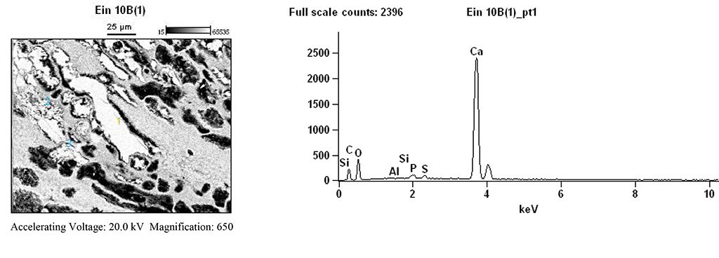 Figure 29