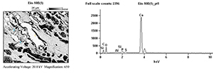 Figure 29