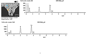 Figure 32