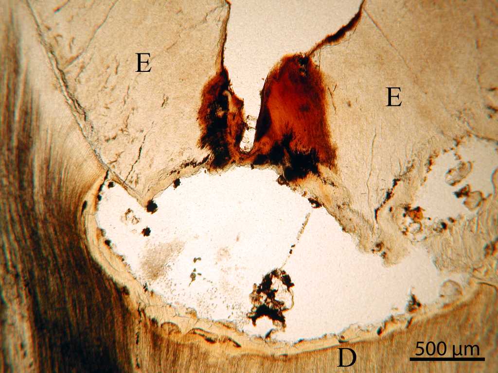 Figure 51