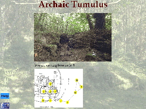 View of the QuickTime Virtual Reality image of an archaic chamber tomb