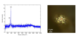 Figure 24