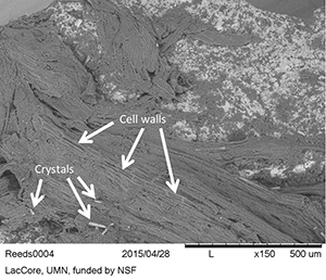 Figure 30