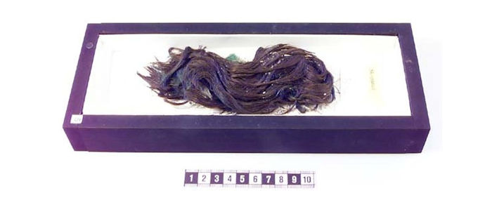 Viking age hair