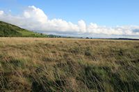 Tregaron (Cors Caron) South-East Bog