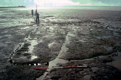 Figure E: Building 6 at Goldcliff. (Image: M. Bell)