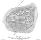 The Lost Hillfort - Braich Y Dinas, Penmaenmawr