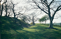 The well-preserved infilled rock-cut ditch at Hen Gaer