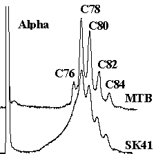 fig4a