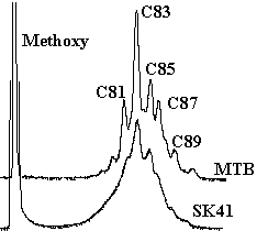 fig4b