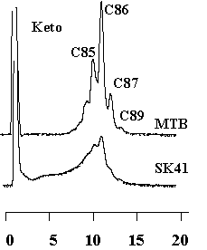 fig4c