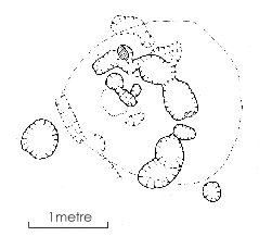 [Figure 2 - the excavated features]