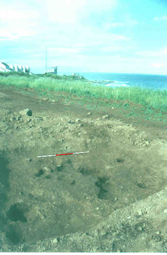 [Figure 4 - site photo]