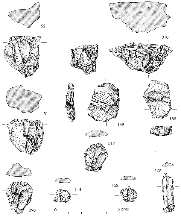 lithic assemblage