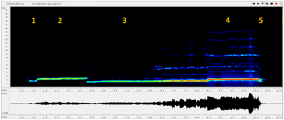 Figure 28