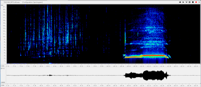 Figure 30