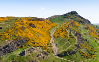 Erosion scar on main route to Arthur's Seat summit