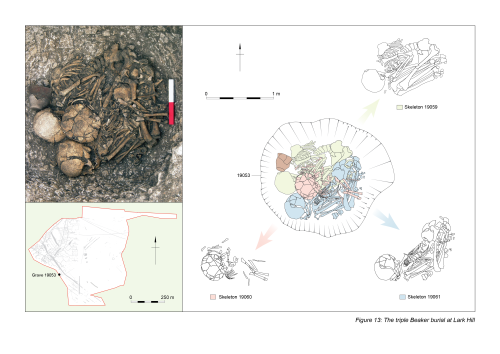 Figure 13