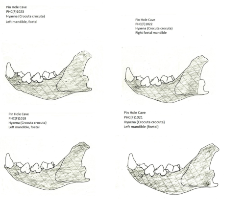 Figure 25