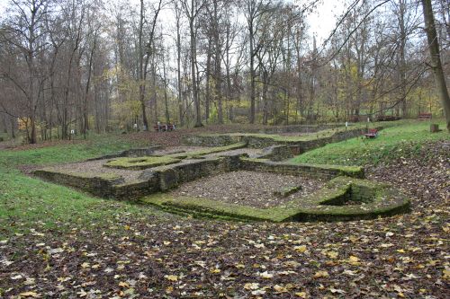 Remnants of foundation walls in a forested area, surrounded by trees