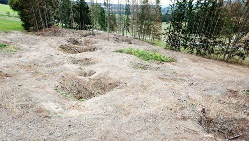 Medieval mining area after deforestation