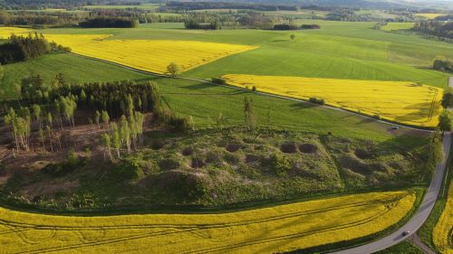 An aerial view of a medieval mining area with young trees growing in the immediate area, surrounded by farmland